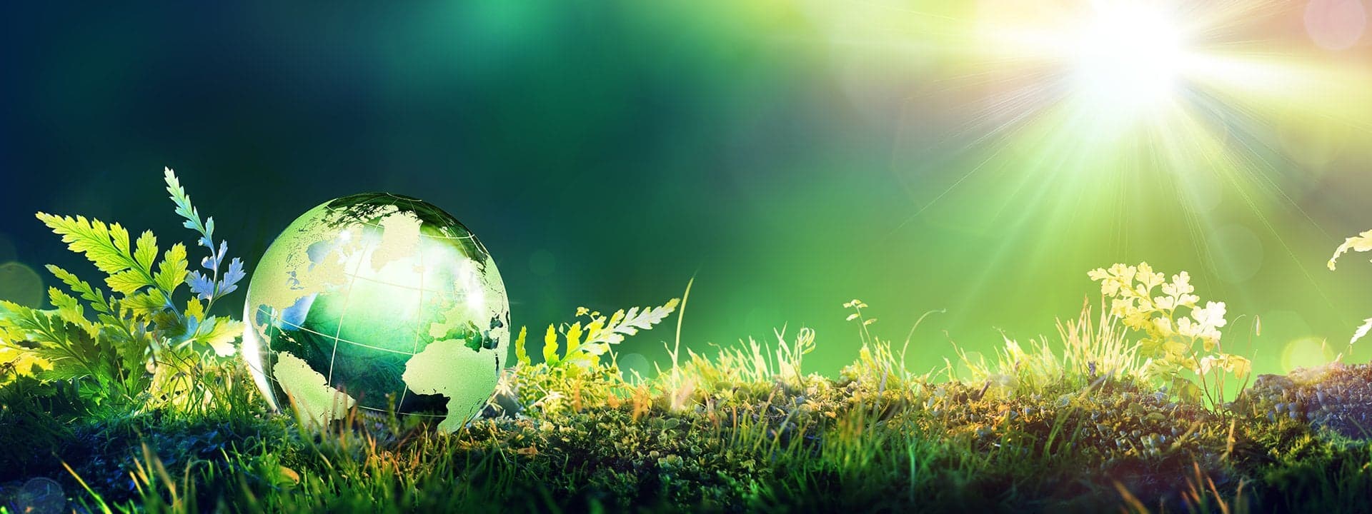UPC-Marathon Goes Green